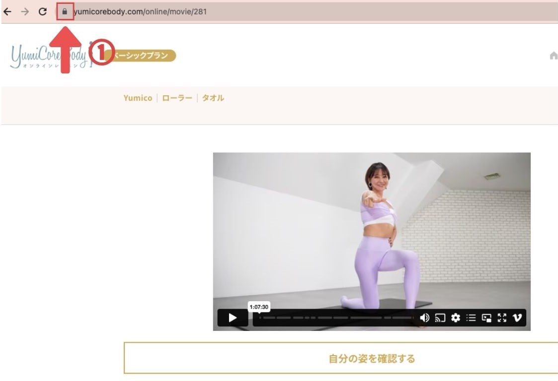 ①Mac PCでカメラを許可するにはどうすればいいですか？.jpg
